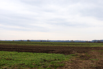 The field is divided into two parts: one part has green grass, and the other is plowed land of dark brown color. Beyond the field, a forest stretches along the horizon, with dark silhouettes of trees.