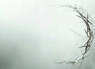 Obraz premium Thorn Crown Close Up on Soft White Background for Easter Message