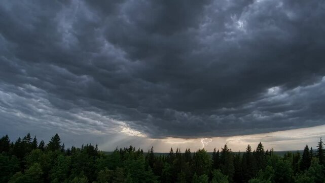 Dark clouds loom over a thick forest as evening approaches, revealing flashes of light in the distance. A breathtaking pre-storm atmosphere unfolds