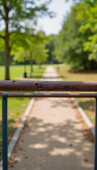 Scenic park pathway with greenery in soft focus  