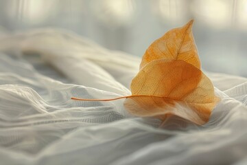 Delicate autumn leaf resting on soft white fabric, capturing a serene moment in natural light