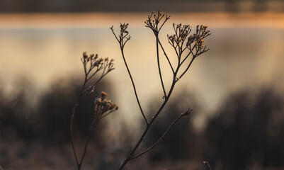 Sunrise over the lake. Sunny March morning.