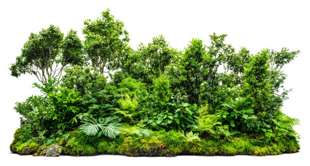 Lush green tropical plants nature scene vibrant forest environment isolated on transparent background