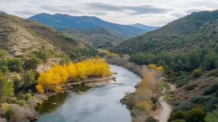 Aerial View Autumn River Valley Landscape Yellow Trees