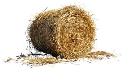 Obraz premium Golden Harvest Roll: A close-up view showcases a rustic, golden hay bale with intricate textures, inviting viewers to touch and feel the scene
