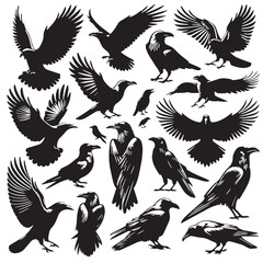 Black Color Raven Silhouette Vector Illustration, Solid White Background