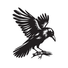 Naklejka premium Black Color Raven Silhouette Vector Illustration, Solid White Background