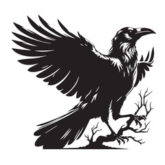 Black Color Raven Silhouette Vector Illustration, Solid White Background