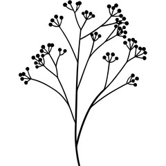 Beautiful Baby’s Breath flower vector, perfect for digital designs, weddings, and decor.