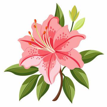 pink lily flower with green leaves clip art preview