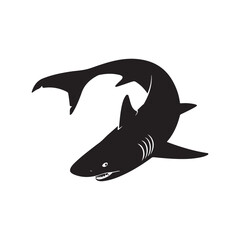 shark isolated on white