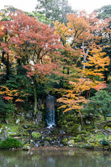 秋の金沢旅行で訪れたい紅葉真っ盛りの兼六園