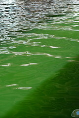 Green water ocean texture background
