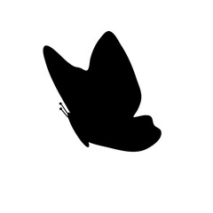 black butterflies vector
