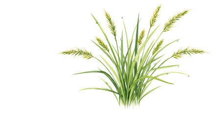 Fototapeta premium A Cluster of Slender, Delicate Meadow Grass Blades Rendered in Soft Green and Gentle Yellow Hues