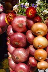 Höri-Bülle, rote Speisezwiebel