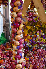 Höri-Bülle, rote Speisezwiebel