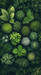 Fototapeta premium Lush green foliage arranged artistically