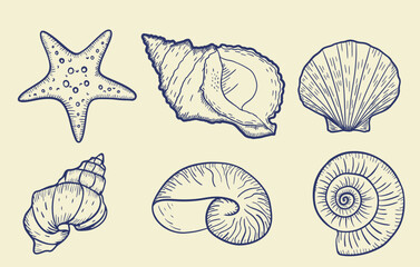 Hand-drawn seashell engravings set. Sea shell engraved in vintage style. Line art marine collection. Blue sea design.