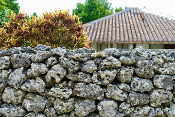 沖縄県　竹富島の石垣と民家の屋根