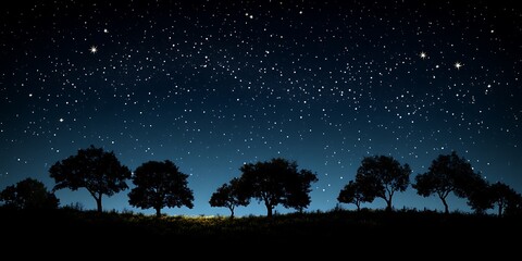 Fototapeta premium A stunning night sky illuminates trees silhouetted on a hillside