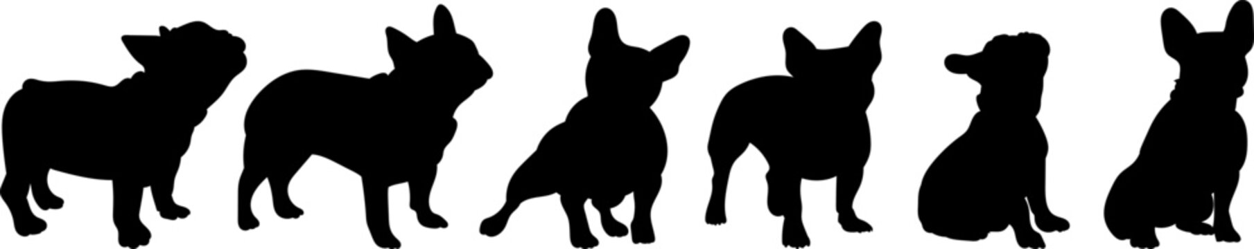 set of dog silhouettes, french bulldog in different poses, vector