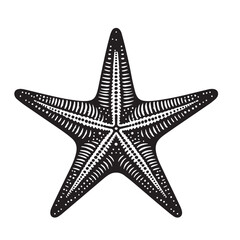 Fototapeta premium Black Color Starfish Silhouette Vector Illustration, Solid White Background