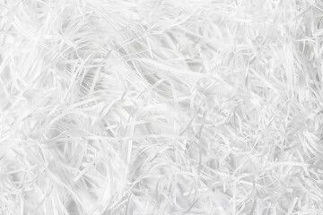 The background of cutting paper creating modern and stylish design. Creative project.