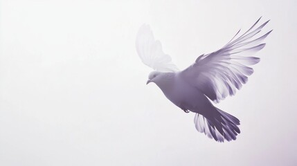 Obraz premium Abstract bird in flight grayscale image