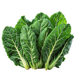 Fresh, vibrant green Swiss chard leaves stacked together, showcasing their rich texture and sturdy stems.