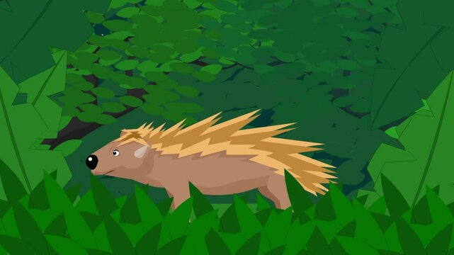 Animated video of a porcupine in the jungle in cartoon style.