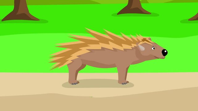 Animated video of a porcupine in the jungle in cartoon style, art.