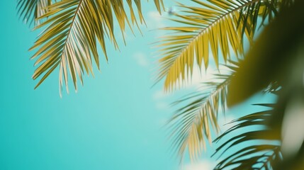 Beautiful Caribbean Beach with Palm Trees, Blue Sky, and Tropical White Sand for Summer Vacation Concept