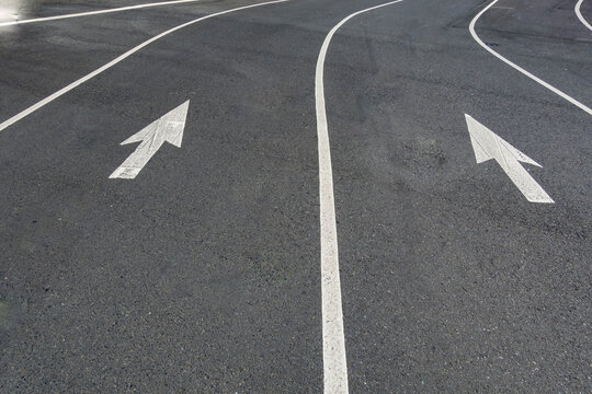 Two directional Arrow symbols on the road surface, on a city road in Seattle.