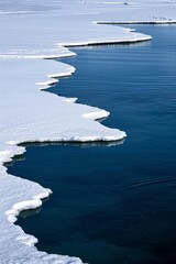Fototapeta premium araffes are floating in the water near a large iceberg