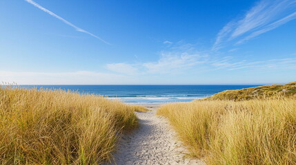 Tranquil beach pathway leading to the ocean under a clear blue sky  