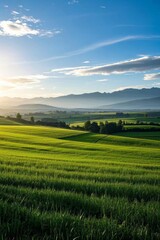 Obraz premium a green field with mountains in the distance and a blue sky