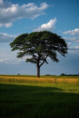Obraz premium araffe standing in a field with a tree in the middle of it
