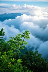 Obraz premium a view of a mountain range with a few trees and clouds