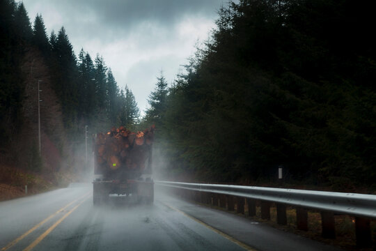 Logging truck in rain on rural highway, Port Angeles, WA, USA