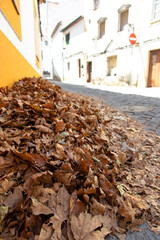 Golden autumn leaves pile up along a narrow cobblestone street in a historic town. The warm colors contrast with the white facades, capturing the charm of fall in traditional Portuguese architecture.