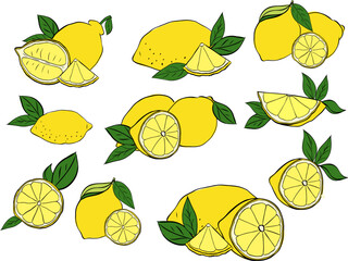 Lemon with leaves composition set. Vector graphic line ink illustration in transparent background. art for food design, recipe, cook book, packages, menu, food ads and decor