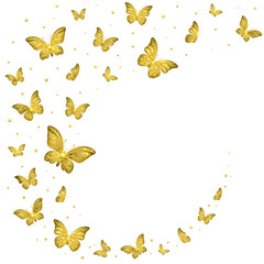 Frame of a Flock of Golden Butterflies