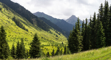 Panoramic view of Karakol Gorge, also known as Karakol Valley, Kyrgyzstan