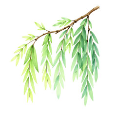 Obraz premium Watercolor-Branch-Leaves-Green-Illustration-Art-Nature-Design