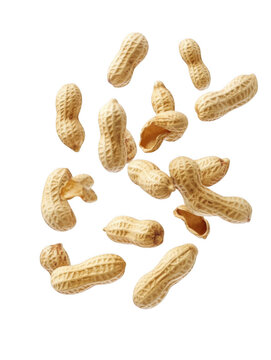 Naklejki Falling peanuts isolated on a white background, png