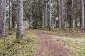 Fototapeta premium Old faded road sign in quiet forest path, overgrown woodland trail with mossy ground and trees, abandoned or restricted area, symbol of human trace in untouched nature