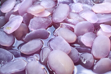 texture and background of kolang Kaling food close up. sugar palm fruit	