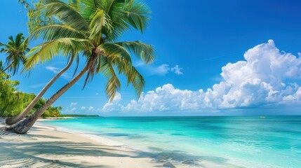 Paradise Coastline: Turquoise waves lap against the sandy shore under a vibrant blue sky dotted with fluffy clouds, while a palm tree offers shade. The perfect beach vacation destination.