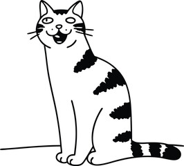 black and white cat